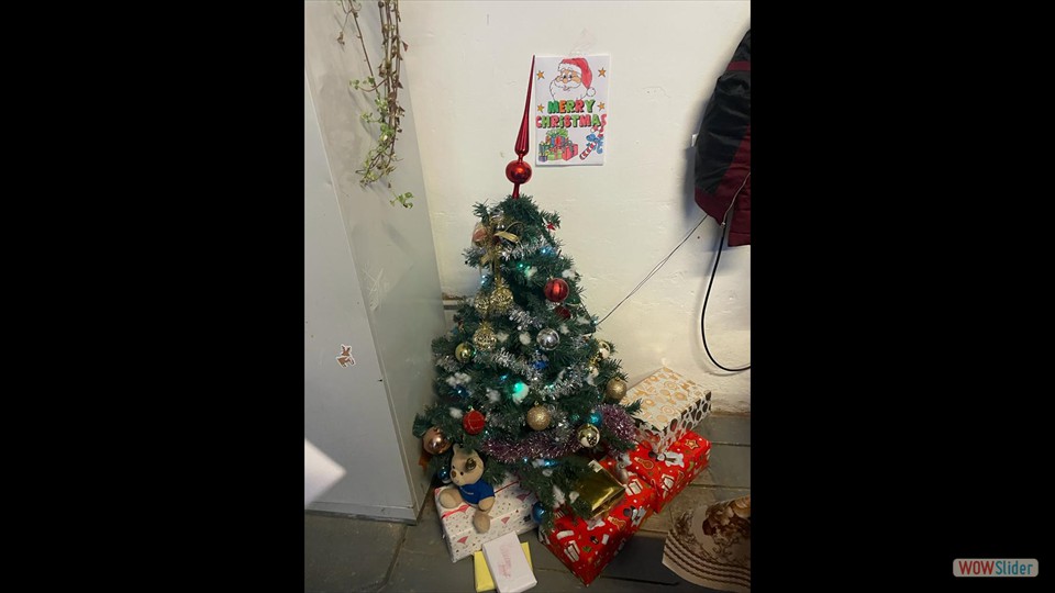 Clasa a-VI-a Școala Gimnazială Șaroș pe Târnave Clasa a-VI-a Școala Gimnazială Șaroș pe Târnave