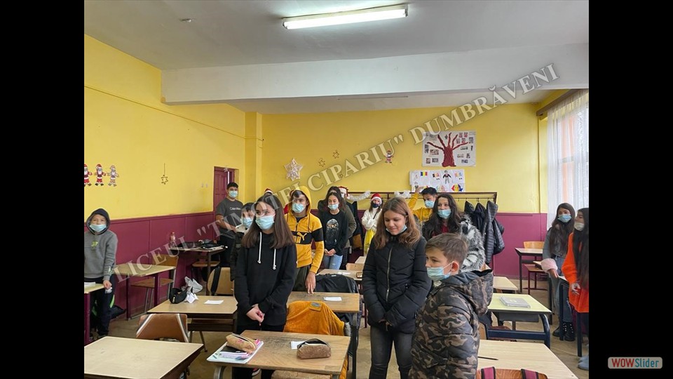 Clasa a-VI-a B - Liceul „Timotei Cipariu” Dumbrăveni 