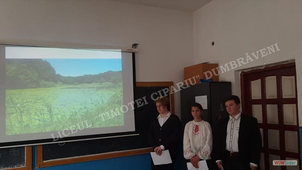 Proiectul - Dor de Eminescu