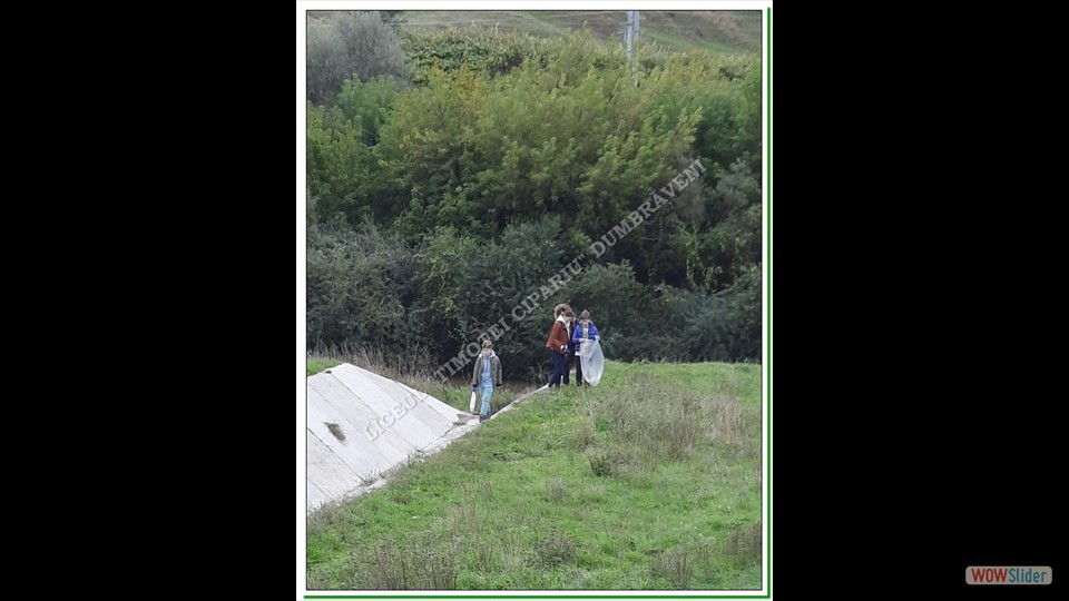 Let' s Do It România-Dumbrăveni Let' s Do It România-Dumbrăveni