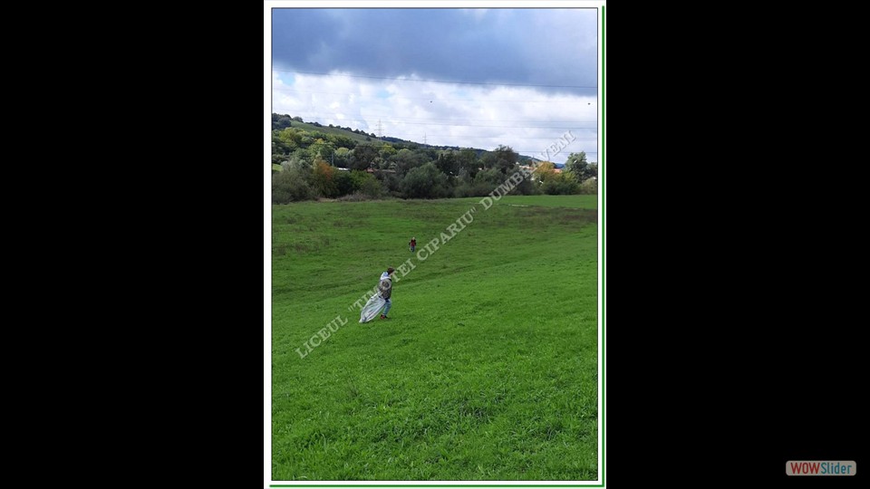 Let' s Do It România-Dumbrăveni Let' s Do It România-Dumbrăveni