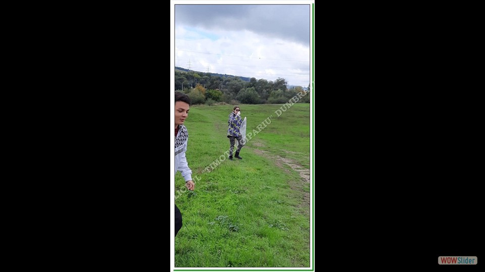 Let' s Do It România-Dumbrăveni Let' s Do It România-Dumbrăveni