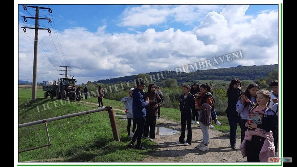 Let' s Do It România-Dumbrăveni Let' s Do It România-Dumbrăveni