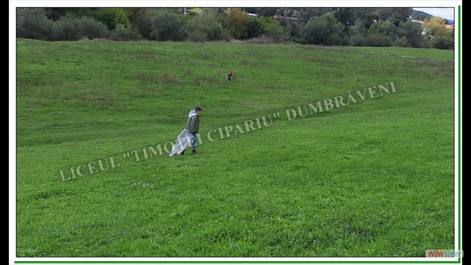 Let' s Do It România-Dumbrăveni image slider