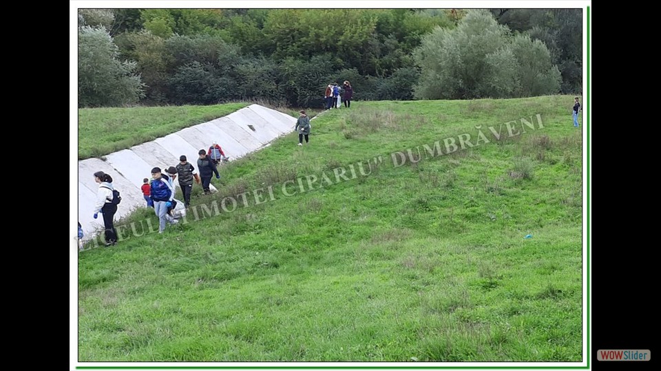 Let' s Do It România-Dumbrăveni Let' s Do It România-Dumbrăveni