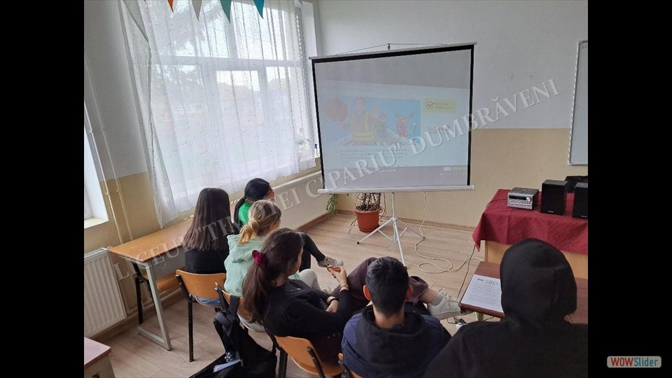 CIRCULATIE RUTIERA - Maricari Alexandru