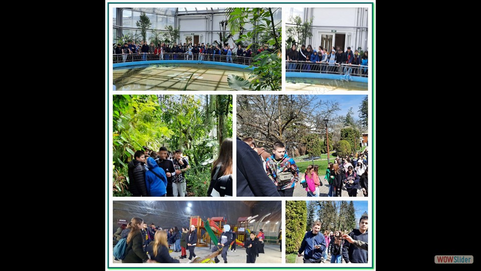 Image00013 Image00013