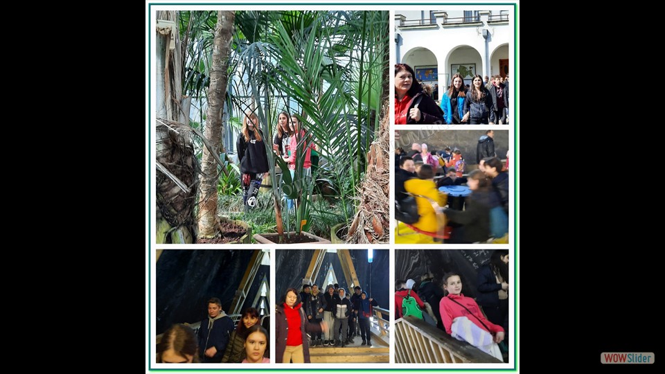 Image00014 Image00014