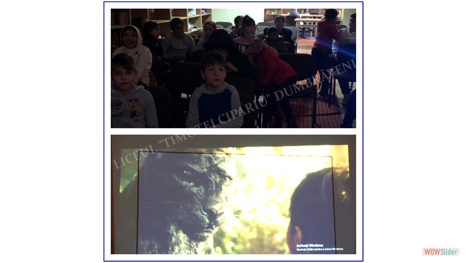 2023-03-31_00015 2023-03-31_00015