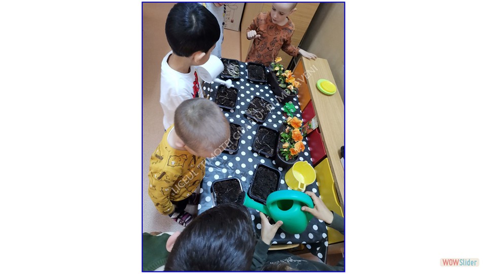 Image00003 Image00003