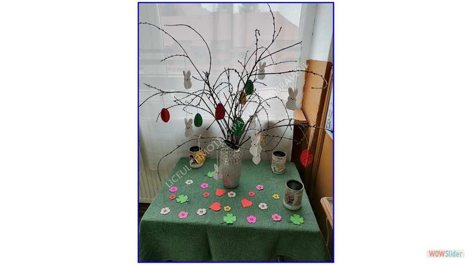 Image00007 Image00007