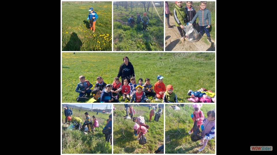 1682339036844 - Horvat Andreea Maria