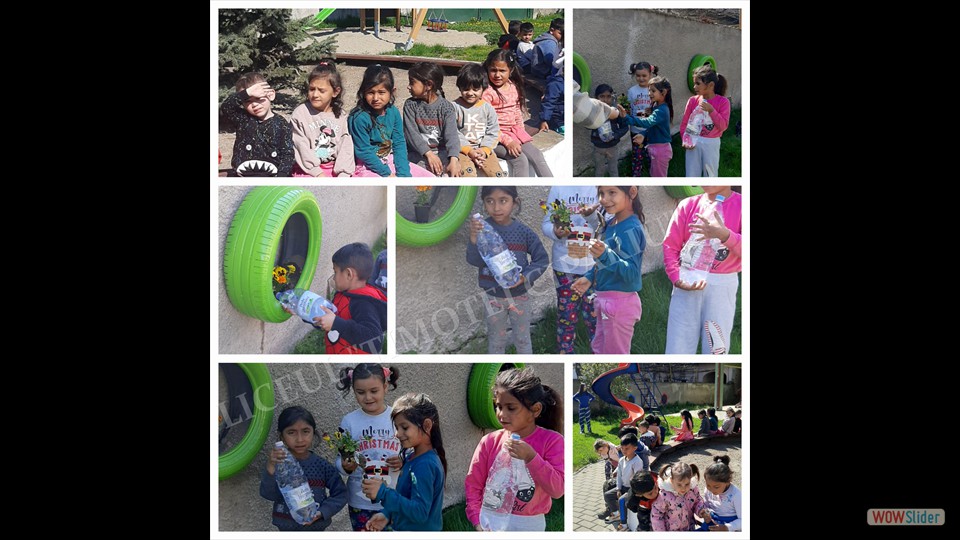 20230424_143345 - Ioana Suciu