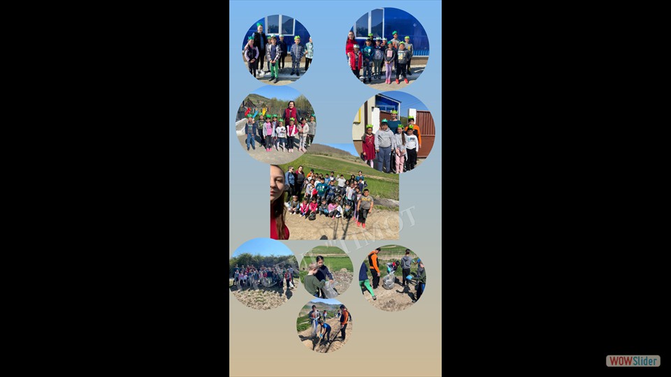 6A461C77-6B98-4D93-873D-41B49784171A - Bogdan Ștefania Maria