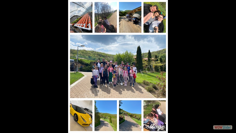 CD5AC81C-50FA-4B1B-91D5-D09302B703CB - Cerchizan Oana-Maria