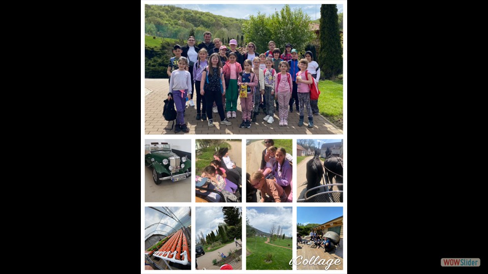 IMG-20230424-WA0003 - Vaida Simona Ionela