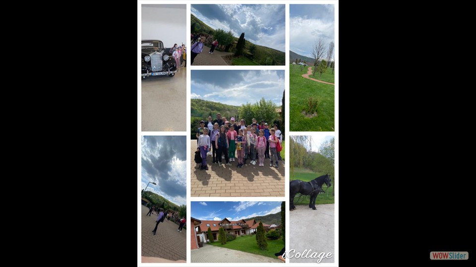 IMG-20230424-WA0072 - Ludvig Monika