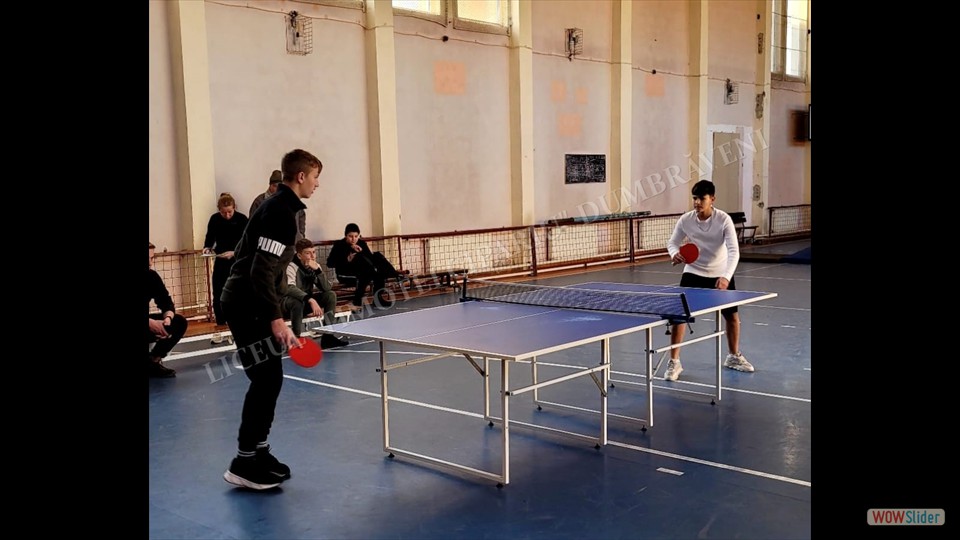 421114203_870613335065128_7275270758738137207_n