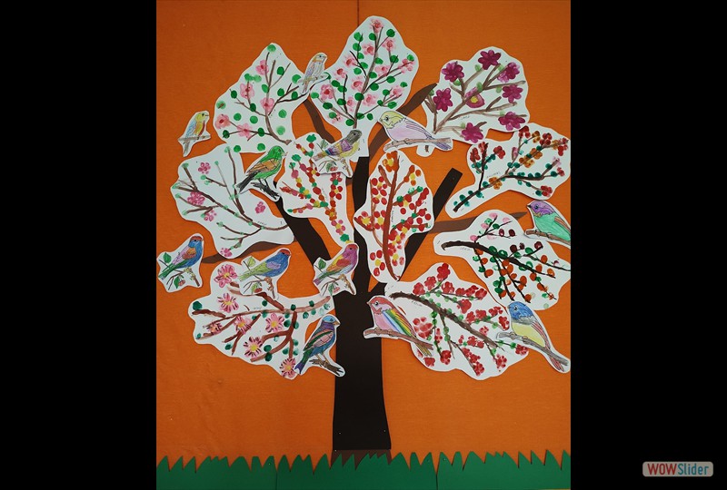 434152306_917213613738433_1189937564323001511_n