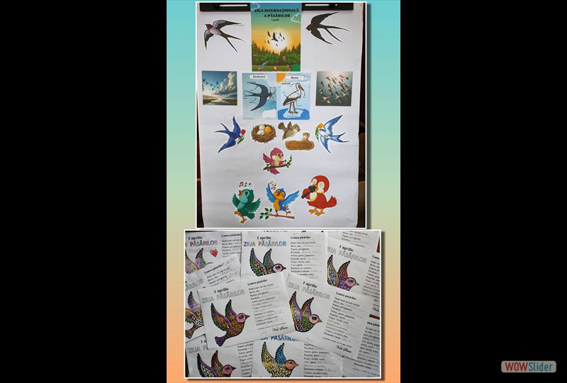 434164007_917213567071771_7582464228840688828_n