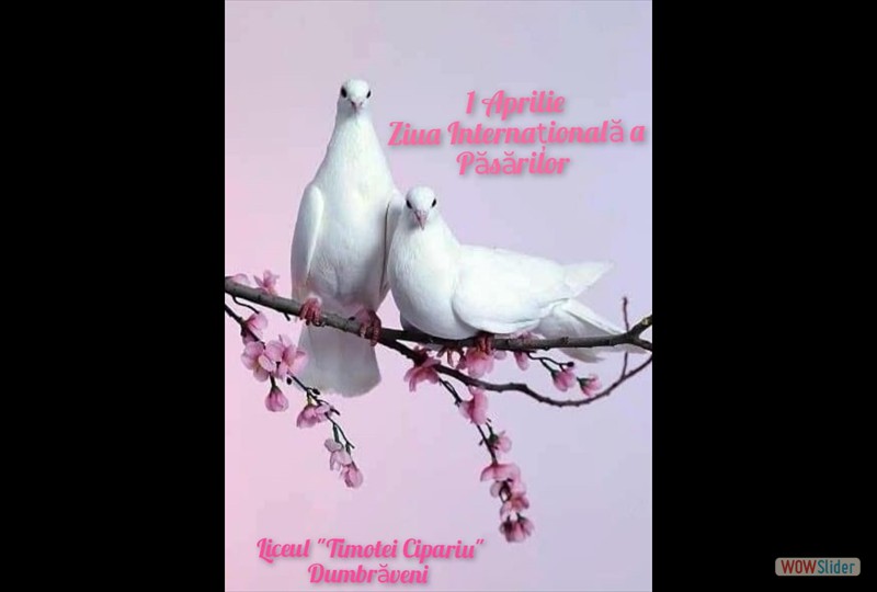 434279447_917213273738467_863181911410807135_n