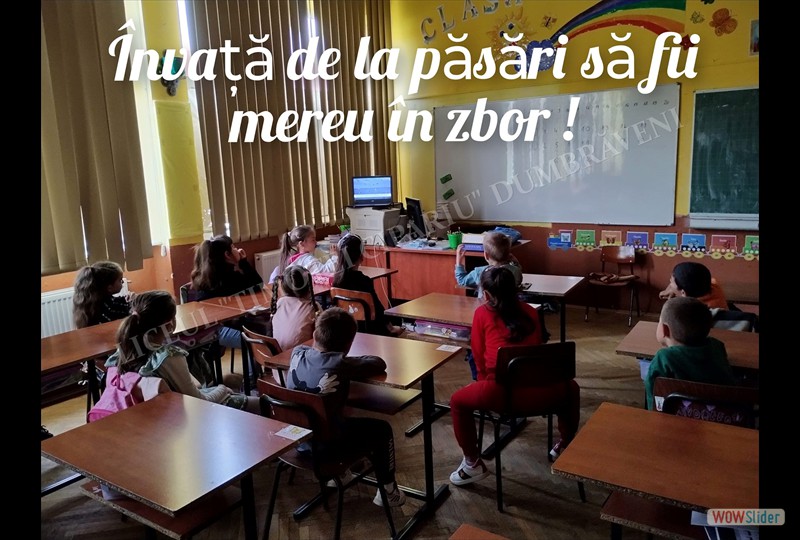 434338095_917224533737341_1844113757805099326_n