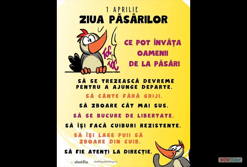 slideshow javascript