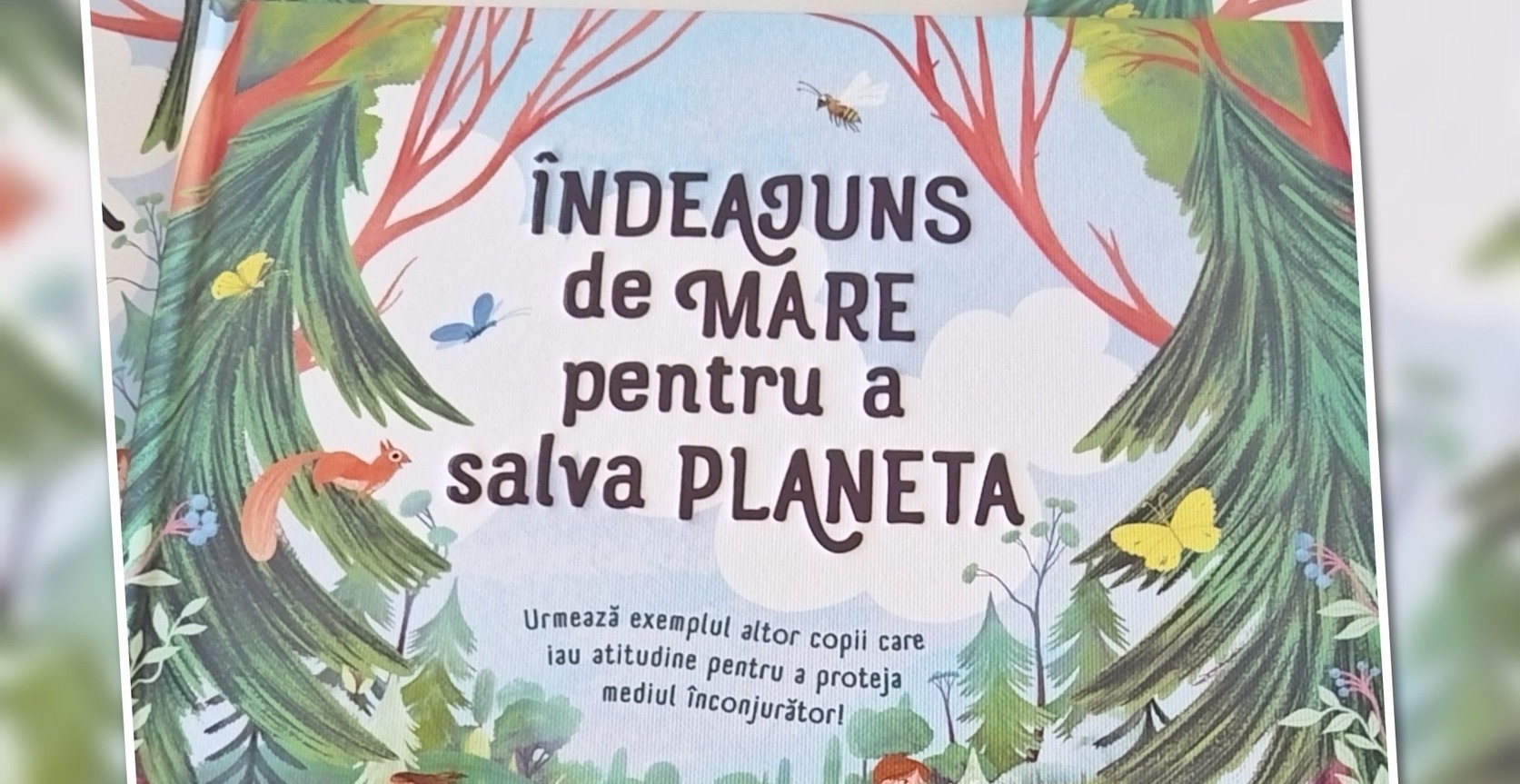 Click pentru marire