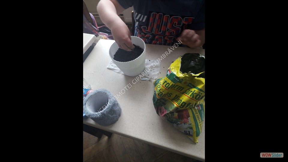 20230425_101614 - Alina Savu