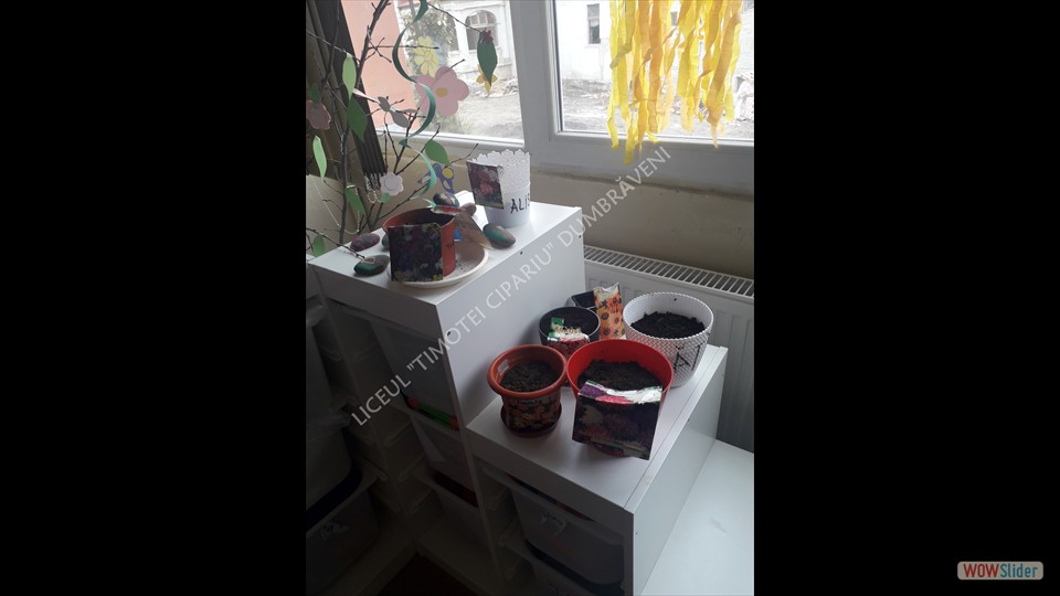 20230425_102411 - Alina Savu