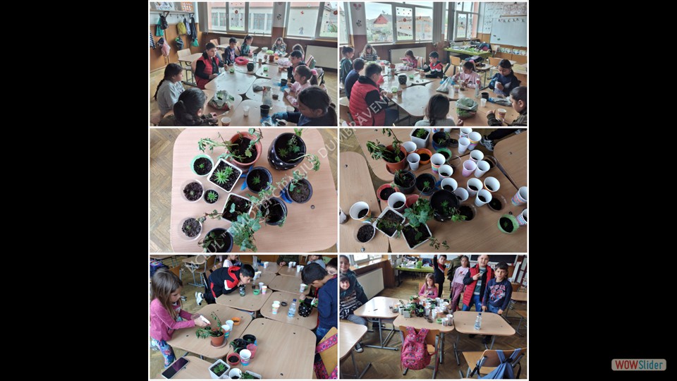 20230425_131631 - Alina Holom