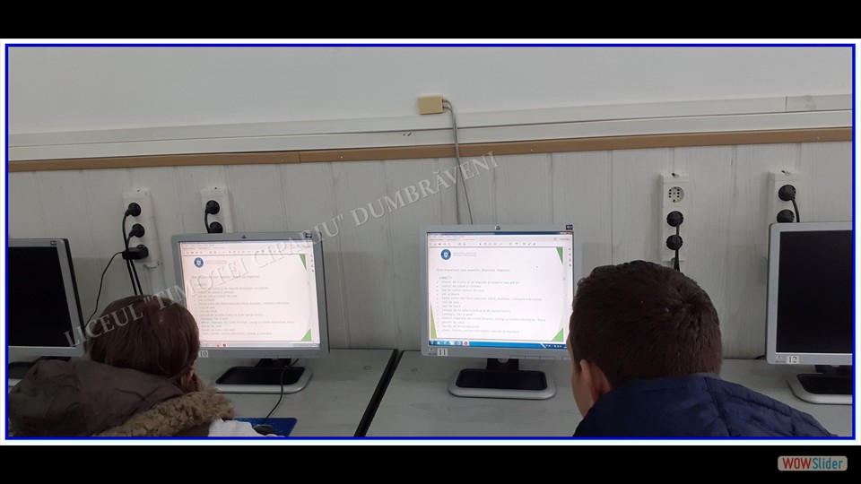 _SĂPTĂMÂNA VERDE_ - 26.04.2023 (File responses)_00004 _SĂPTĂMÂNA VERDE_ - 26.04.2023 (File responses)_00004