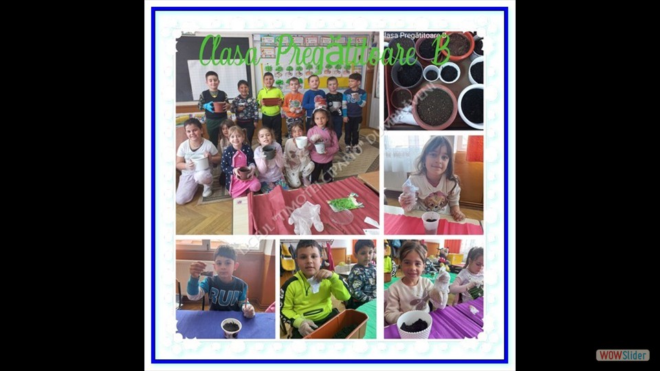 _SĂPTĂMÂNA VERDE_ - 26.04.2023 (File responses)_00008 _SĂPTĂMÂNA VERDE_ - 26.04.2023 (File responses)_00008