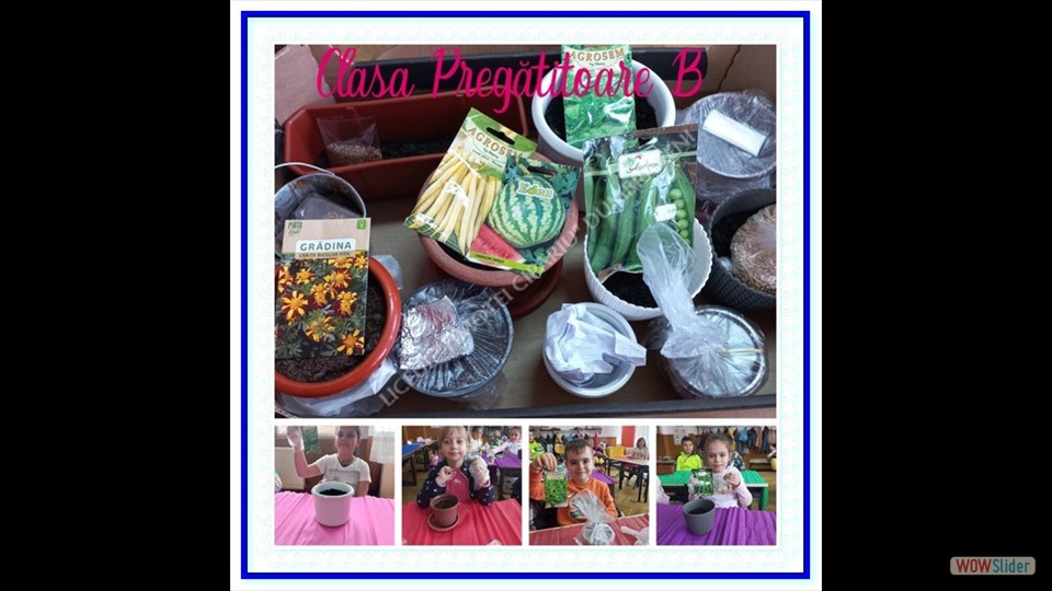 _SĂPTĂMÂNA VERDE_ - 26.04.2023 (File responses)_00009 _SĂPTĂMÂNA VERDE_ - 26.04.2023 (File responses)_00009