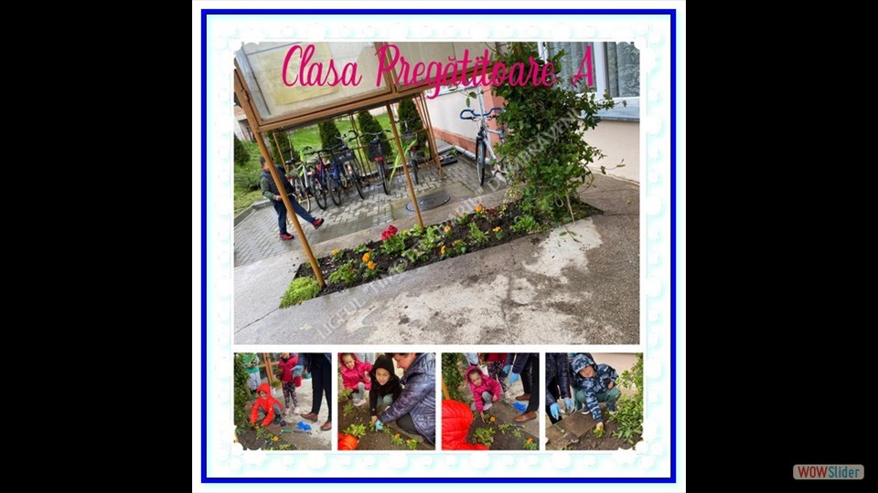 _SĂPTĂMÂNA VERDE_ - 26.04.2023 (File responses)_00011 _SĂPTĂMÂNA VERDE_ - 26.04.2023 (File responses)_00011