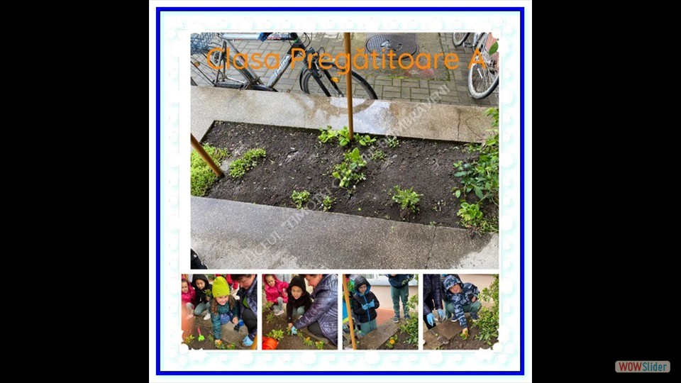 _SĂPTĂMÂNA VERDE_ - 26.04.2023 (File responses)_00012 _SĂPTĂMÂNA VERDE_ - 26.04.2023 (File responses)_00012