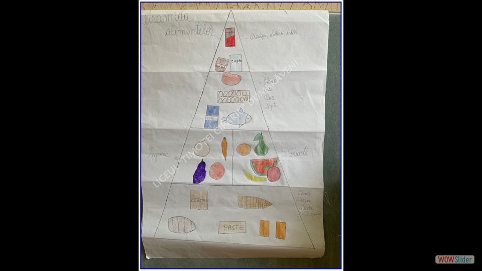 _SĂPTĂMÂNA VERDE_ - 26.04.2023 (File responses)_00020 _SĂPTĂMÂNA VERDE_ - 26.04.2023 (File responses)_00020