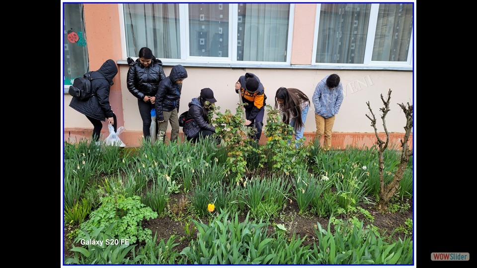 _SĂPTĂMÂNA VERDE_ - 26.04.2023 (File responses)_00027 _SĂPTĂMÂNA VERDE_ - 26.04.2023 (File responses)_00027