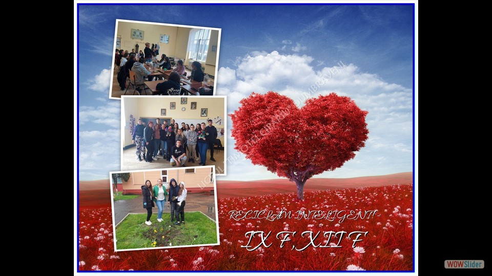 _SĂPTĂMÂNA VERDE_ - 26.04.2023 (File responses)_00029 _SĂPTĂMÂNA VERDE_ - 26.04.2023 (File responses)_00029