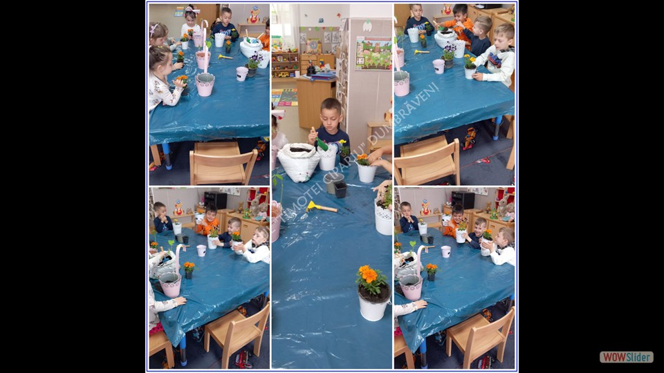 _SĂPTĂMÂNA VERDE_ - 26.04.2023 (File responses)_a (11) _SĂPTĂMÂNA VERDE_ - 26.04.2023 (File responses)_a (11)