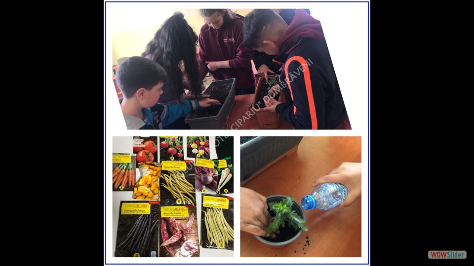 _SĂPTĂMÂNA VERDE_ - 26.04.2023 (File responses)_a (7) _SĂPTĂMÂNA VERDE_ - 26.04.2023 (File responses)_a (7)