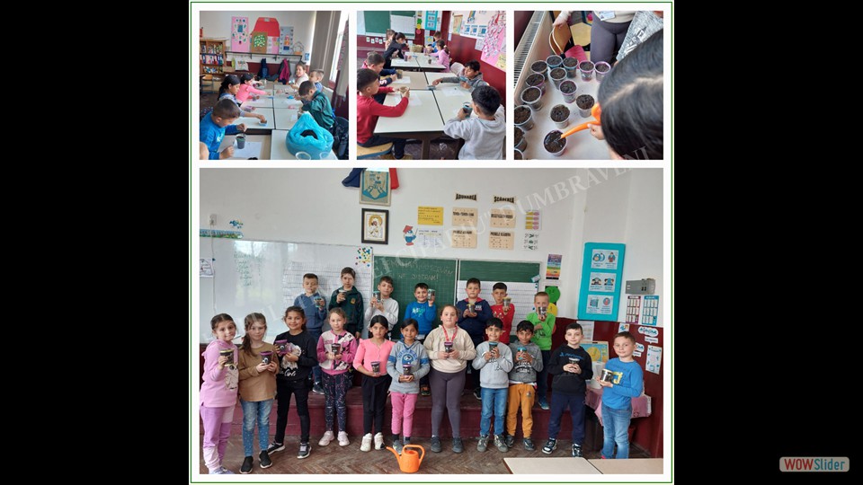 Image00004 Image00004