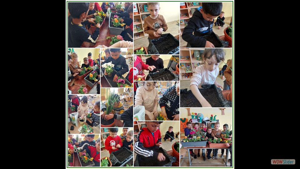 Image00006 Image00006