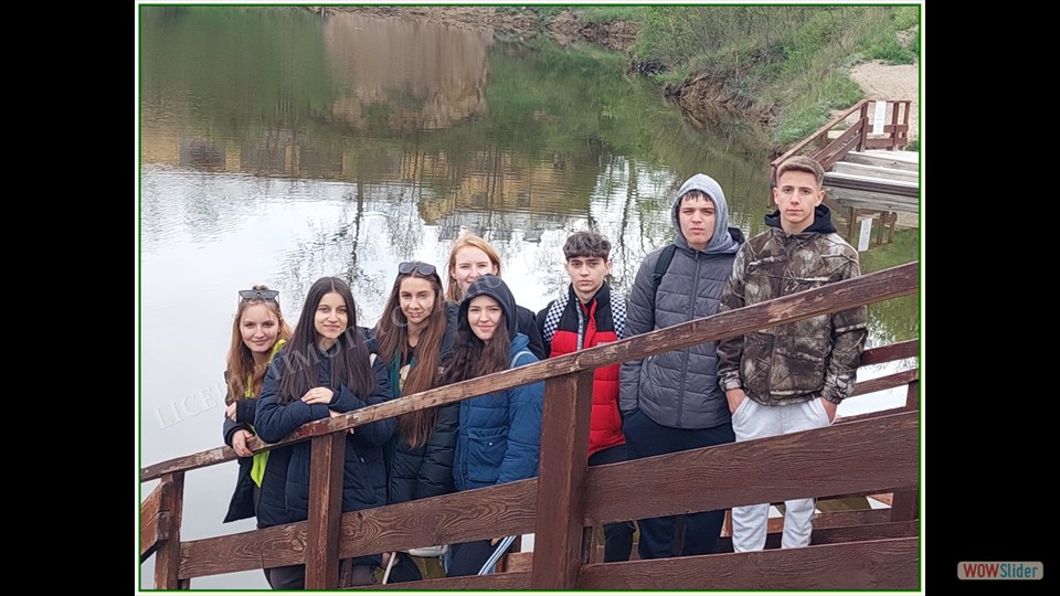 Image00008 Image00008