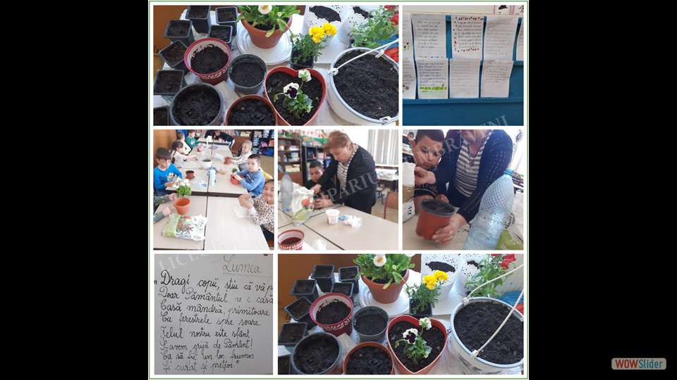 Săptămâna verde -27.04.2023_00003 Săptămâna verde -27.04.2023_00003