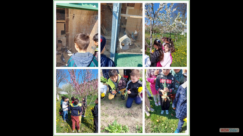 Săptămâna verde -27.04.2023_00020 Săptămâna verde -27.04.2023_00020