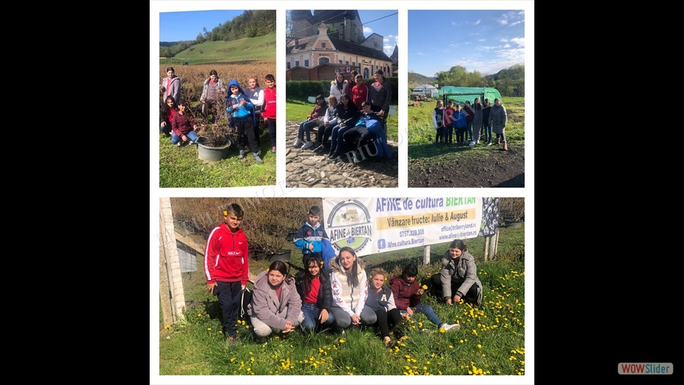 0DBDAC61-2B6B-447E-8580-4F7F1F58A84D - Chimşac Anca-Monica